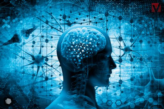 ejercicio-para-el-cerebro-vitalmente-magazine-free-letics-web