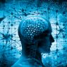 ejercicio-para-el-cerebro-vitalmente-magazine-free-letics-web