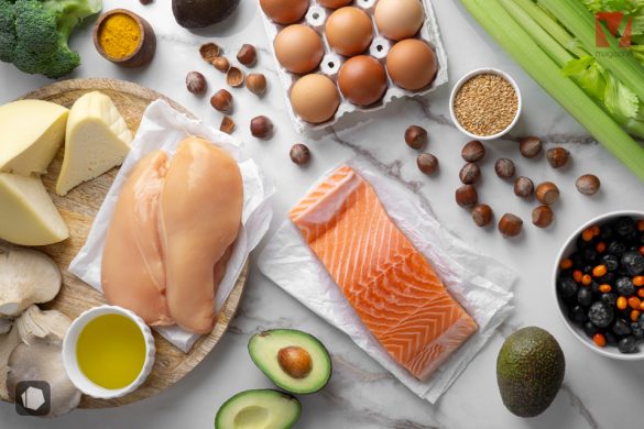 biodisponibilidad-de-las-proteínas-en-vitalmente.co