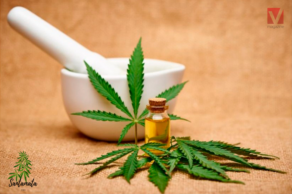 Cannabis alternativa como analgésico santamata vitalmente magazine (2)