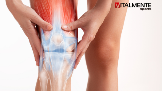 inflamación en deportistas vitalmente sports nutrición deportiva (2)