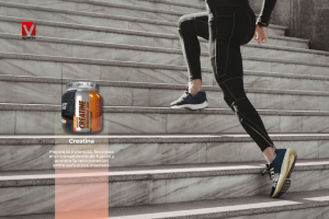 suplemento deportivo para corredores vitalmente sports y healthy sports (5)