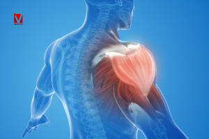 CrossFit: fuerza, potencia y control corporal