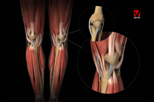 HYROX: resistencia muscular y fuerza aplicada